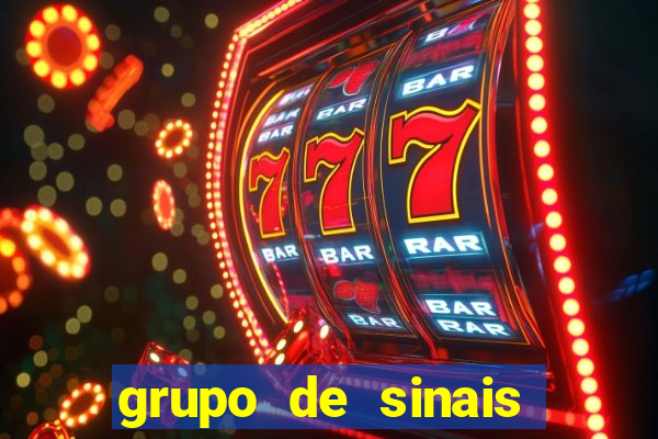 grupo de sinais trader telegram